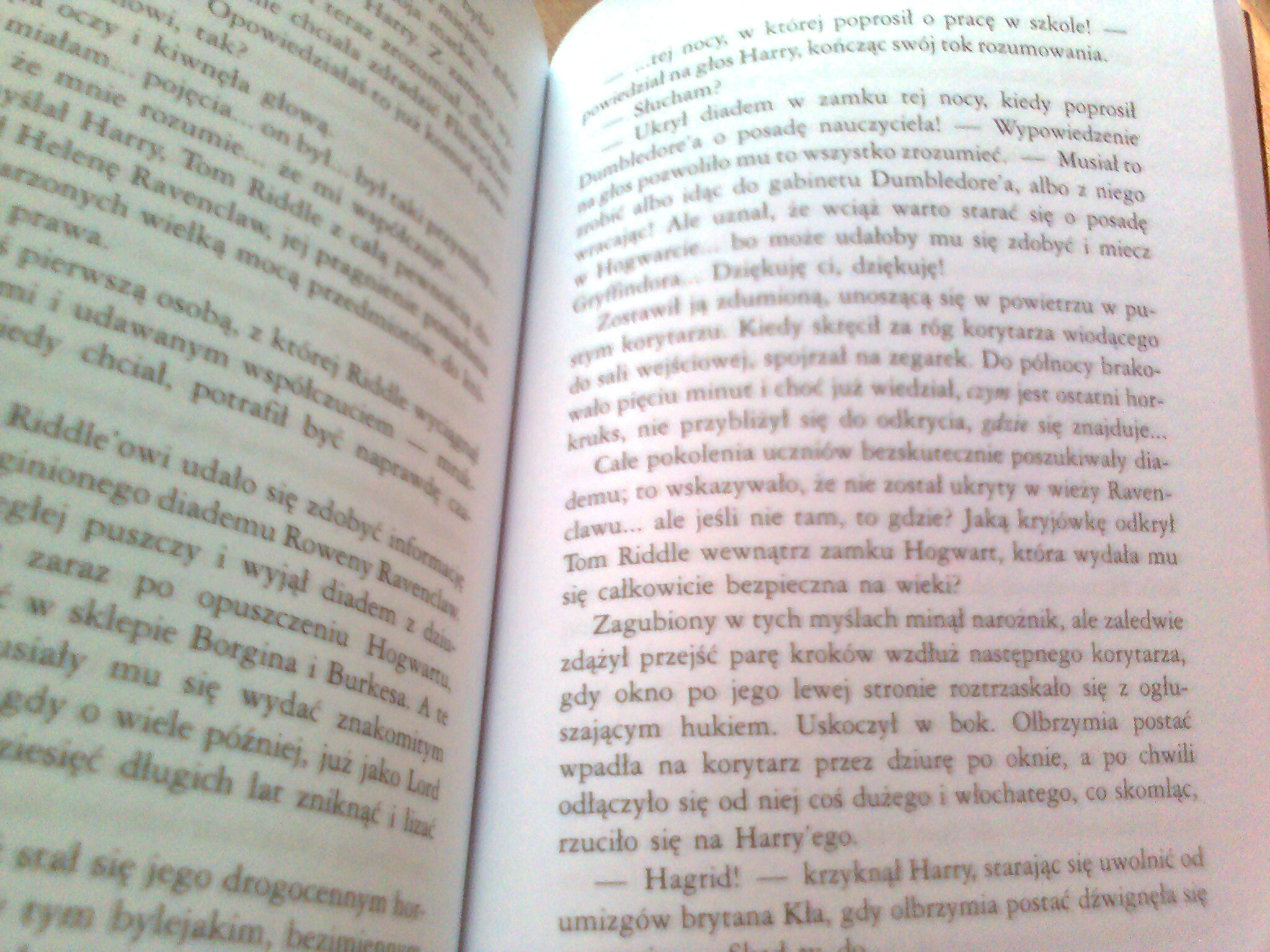 Fragment książki "Harry Potter i Insygnia śmierci"